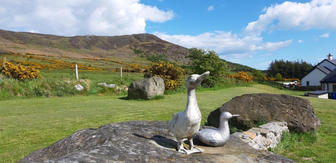 Safe Haven - Luxury Family Accommodation Carlingford Buitenkant foto